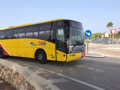 Transport Services in Majorca